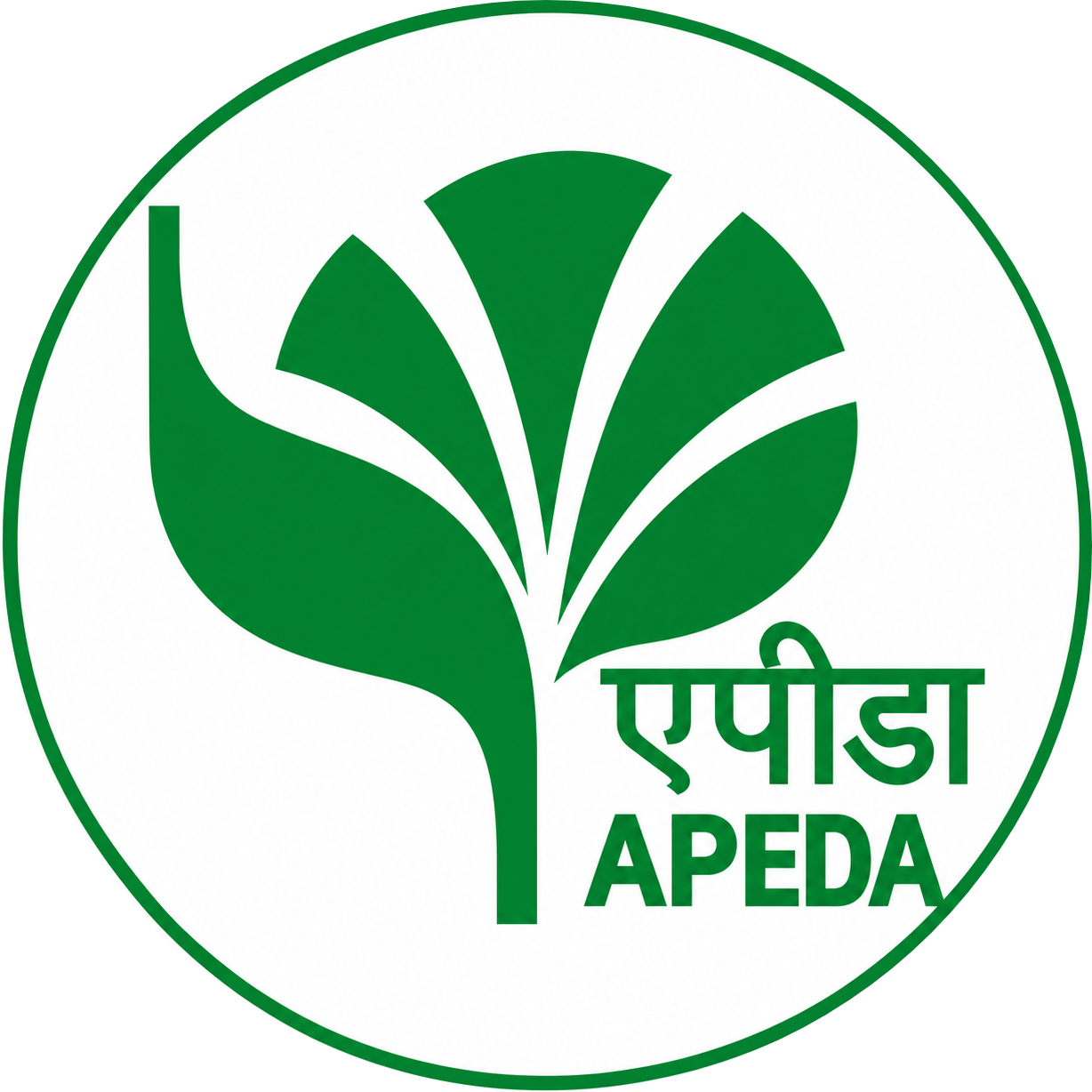 APEDA emblem