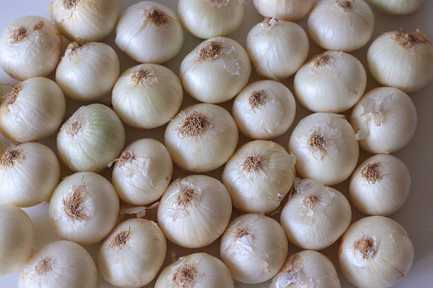White Onion